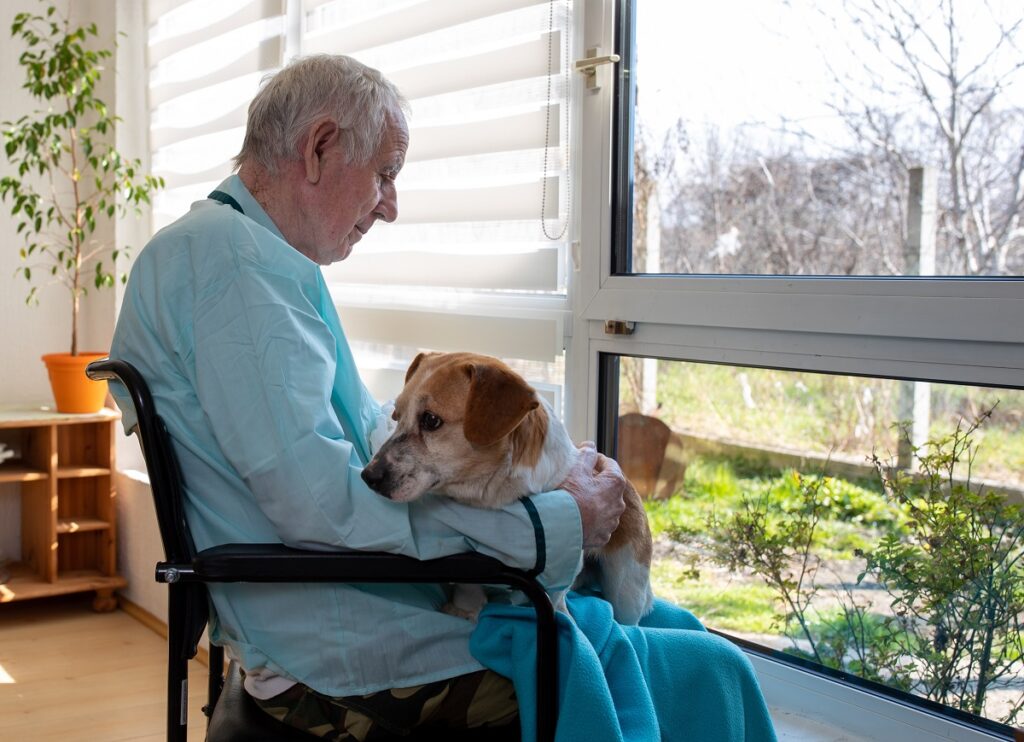 Un anziano in carrozzina con il suo cane: la raccolta fondi per l'Hospitality Dog a Genova è necessaria per il completamento del villaggio