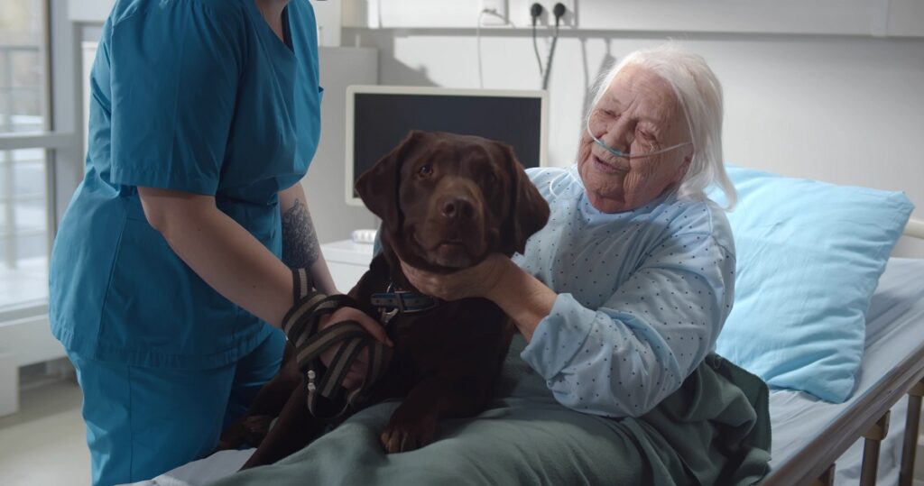 Una anziana in ospedale con il suo cane. A chi si chiede 'chi tiene il cane se vado in ospedale' risponde il progetto di Genova Hospitality Dog